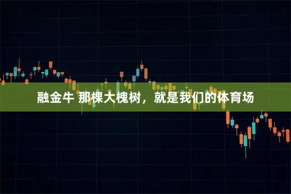 融金牛 那棵大槐树，就是我们的体育场