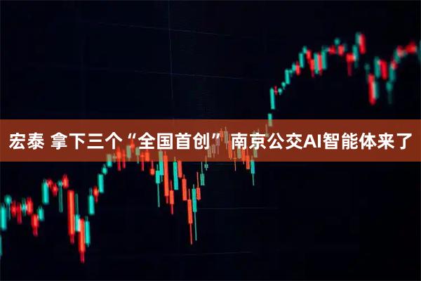 宏泰 拿下三个“全国首创” 南京公交AI智能体来了