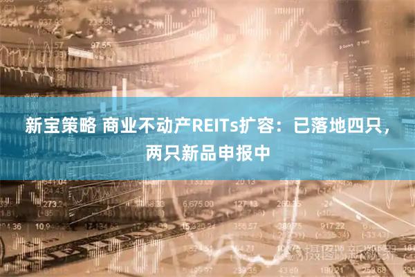 新宝策略 商业不动产REITs扩容：已落地四只，两只新品申报中