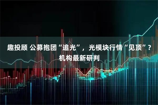 趣投顾 公募抱团“追光”，光模块行情“见顶”？机构最新研判