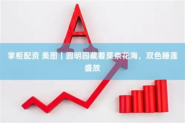 掌柜配资 美图｜圆明园藏着莫奈花海，双色睡莲盛放