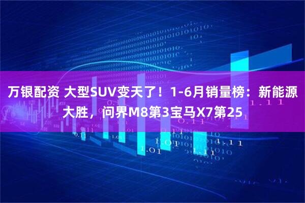 万银配资 大型SUV变天了!1-6月销量榜:新能源大胜,问界M8第3宝马X7第25