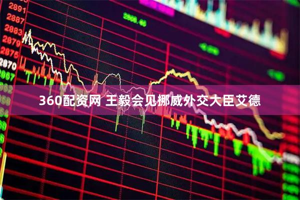 360配资网 王毅会见挪威外交大臣艾德