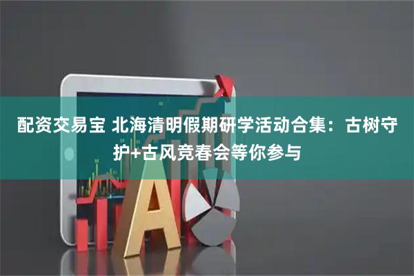 配资交易宝 北海清明假期研学活动合集:古树守护+古风竞春会等你参与