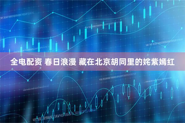 全电配资 春日浪漫 藏在北京胡同里的姹紫嫣红