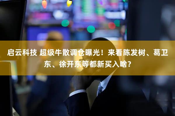 启云科技 超级牛散调仓曝光!来看陈发树、葛卫东、徐开东等都新买入啥?