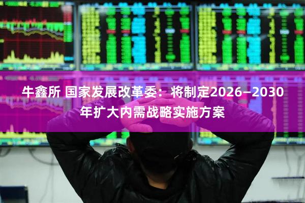 牛鑫所 国家发展改革委：将制定2026—2030年扩大内需战略实施方案