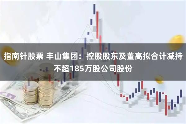指南针股票 丰山集团:控股股东及董高拟合计减持不超185万股公司股份