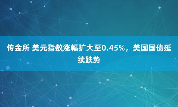 传金所 美元指数涨幅扩大至0.45%，美国国债延续跌势