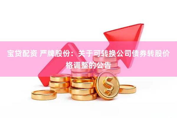 宝贷配资 严牌股份：关于可转换公司债券转股价格调整的公告