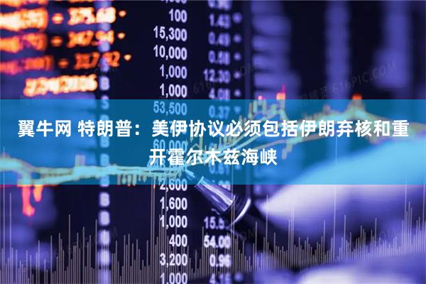翼牛网 特朗普：美伊协议必须包括伊朗弃核和重开霍尔木兹海峡