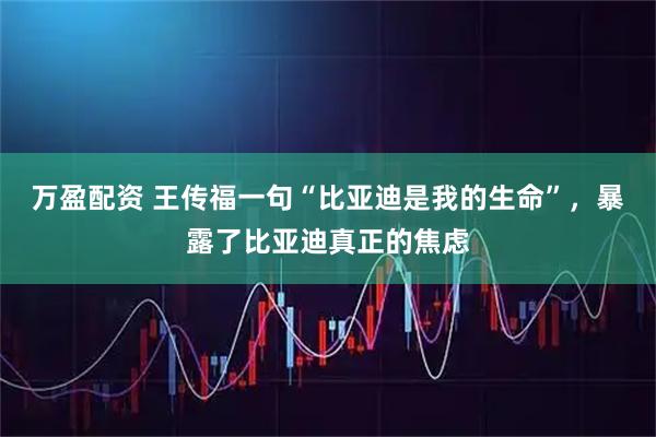 万盈配资 王传福一句“比亚迪是我的生命”，暴露了比亚迪真正的焦虑