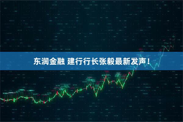 东润金融 建行行长张毅最新发声！